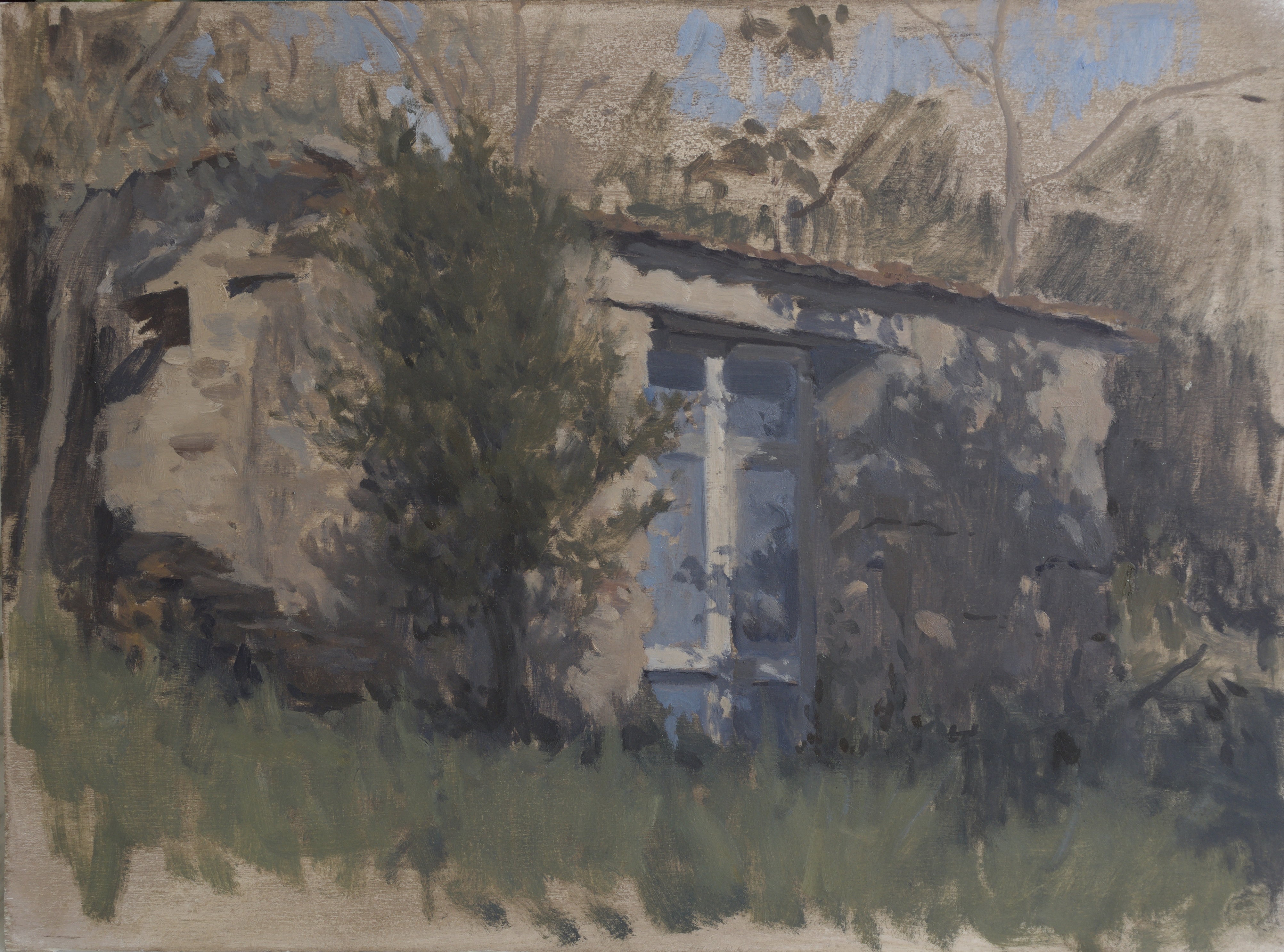 Shed